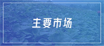 主要市场