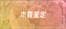 木香鉴定